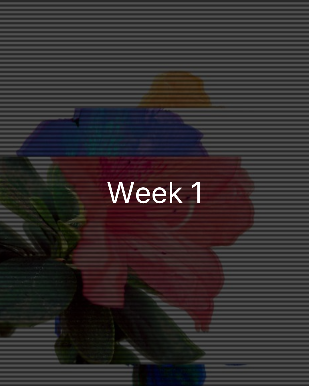 GSoC 2026 Week 1
